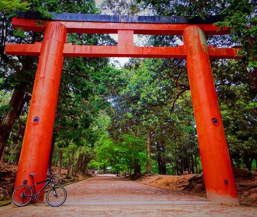 kinkicycle: Love Nara. #cycle #cycling #cyclelife #mtb #mtblife #mtbporn #twentysixinches #26aintdea