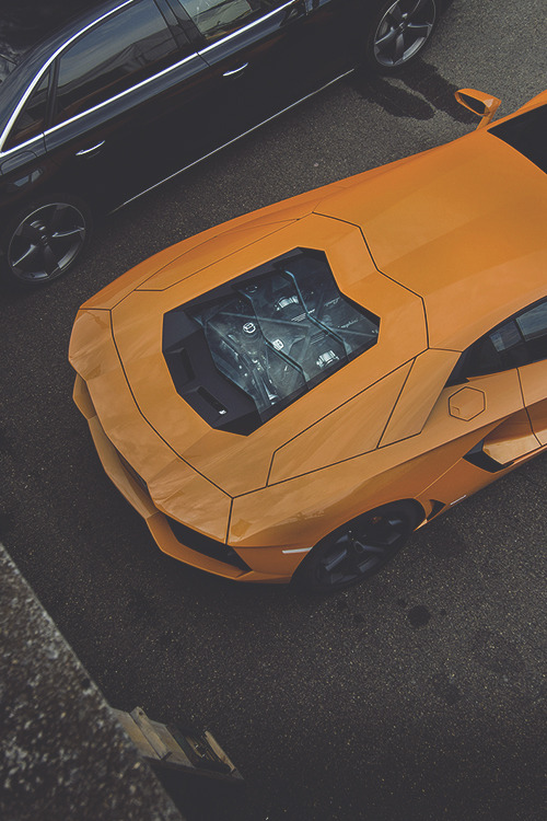 XXX johnny-escobar:  Lamborghini Aventador  photo