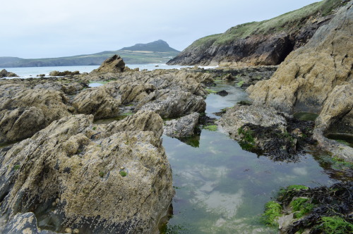 rherlotshadow: Rock pools