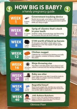 Obviousplant:  I Left This Baby Size Chart In A Babies R Us. More Stuff Like This