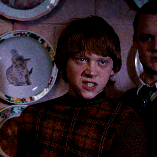 ronweasleygifs: Maybe you don’t have to do this all by yourself, mate. RON WEASLEY in HARRY PO