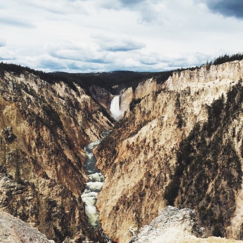 coffee-n-mtns: Yellowstone National Park