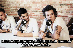 blamestyles:  x 