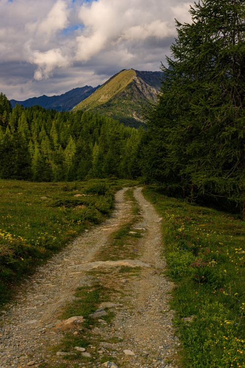 Trails of the TMR 1-5/? - Tour de Monte Rosa, July 2021photo by: nature-hiking