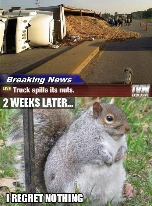 Humor Train