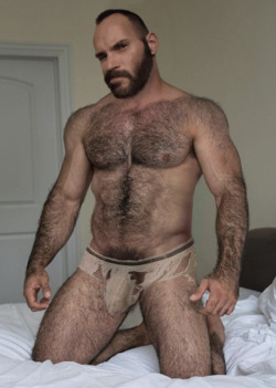 firstclassmales:  timboakimbonyc:   furrymasculinenude: