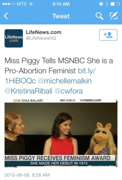 aconnormanning:  cassandrawusan:  a bunch of anti-choice activists are making threats towards a muppet bc she’s pro choice. she’s not even like. identifying as pro abortion. she said ‘i’m pro-everything’. like she said ‘i’m pro-everything’