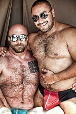 ilovebearsposts:  http://ilovebearsposts.tumblr.com/archive