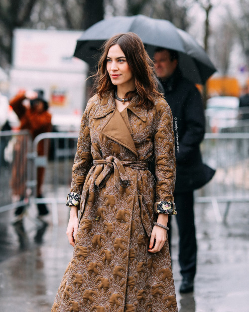 Alexa Chung at Chloe FW 2020 - 2021 Paris Snapped by Benjamin KwanParis Fashion Week