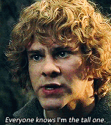 tossme:  one gifset per character           ↬ Meriadoc Brandybuck           