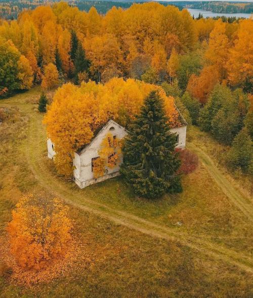 jeroenapers:Haal de herfst in huis. Zo gaat dat in Karelië.