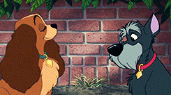 Walt Disney Animation Studios | Lady and the Tramp (1955) » ★★★★→ “It’s all ours for the taking, Pig