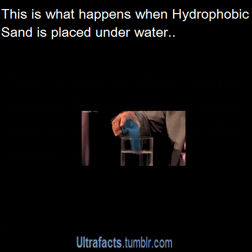 ultrafacts:  Source If you want more facts, follow Ultrafacts 