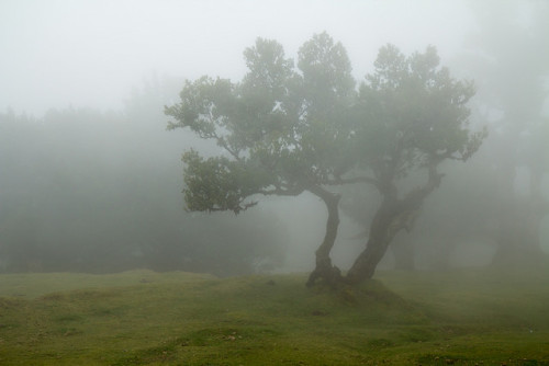 Madeira 180.jpg by vossemer on Flickr.