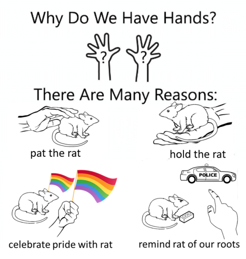 strange-happenings-and-things:The creator of Why Do We Have Hands: Rat Edition, proudly presents Why