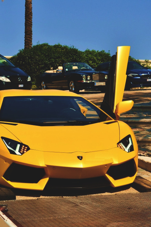 classyhustler:  Aventador