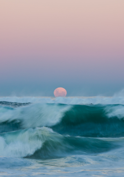 blαck heαrt.&rsquo;s Photos | via Facebook on We Heart It. http://weheartit.com/entry/73296527/via/annabec