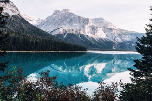 Porn wolverxne:  Canadian Rockies | by: { Griffen photos