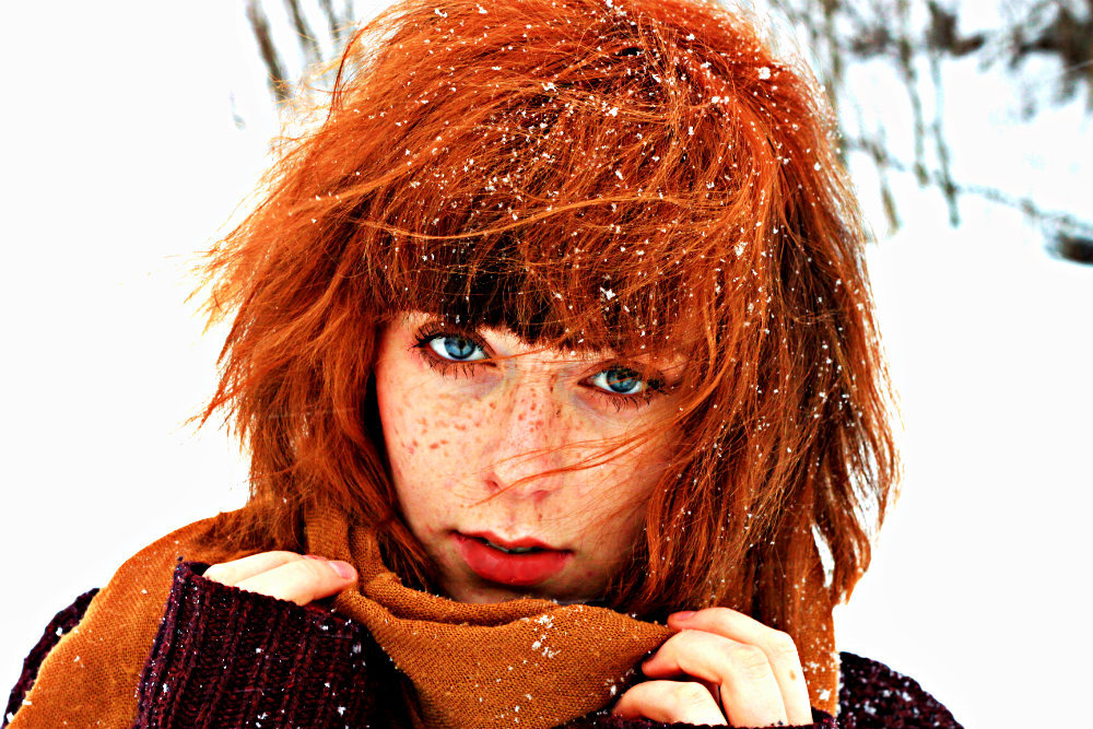 skogsdrage:  snowy