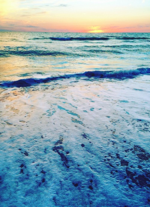 creedenceclearwaterrevival: before my senior show + one of my last nights living in florida :/