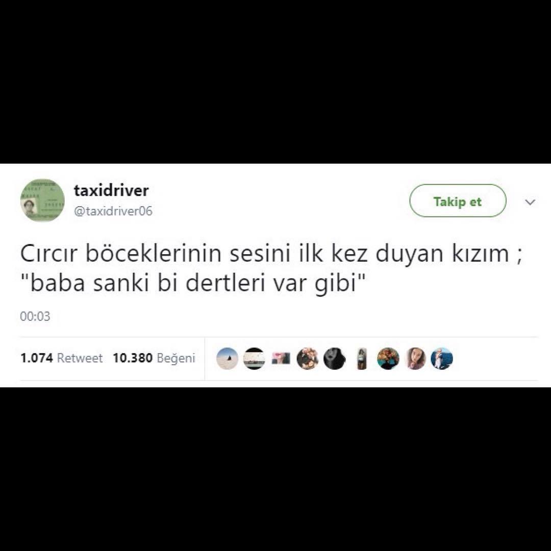 Cırcır böceklerinin sesini...