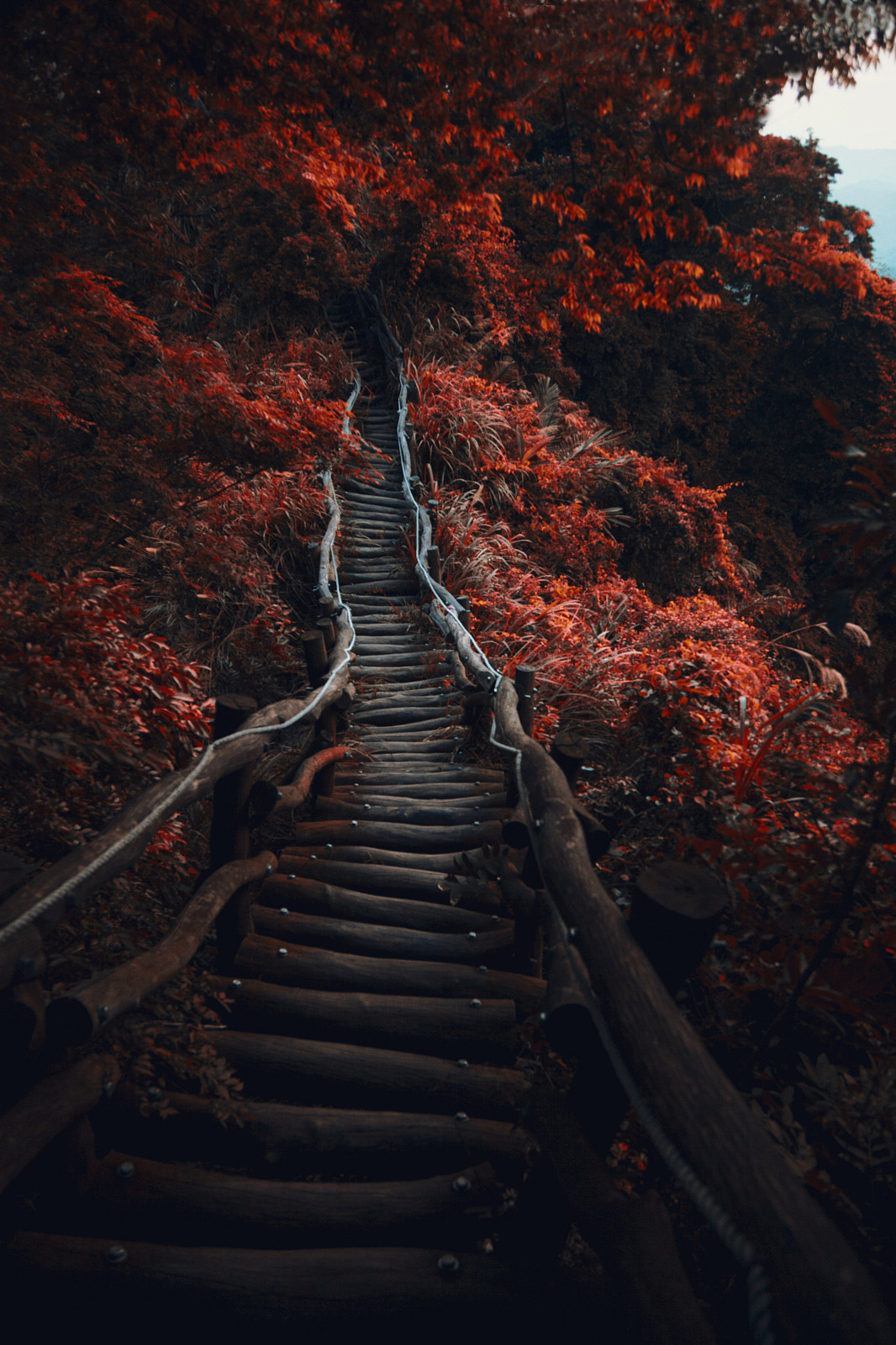 melodyandviolence:  by   Hanson Mao(毛延延)   