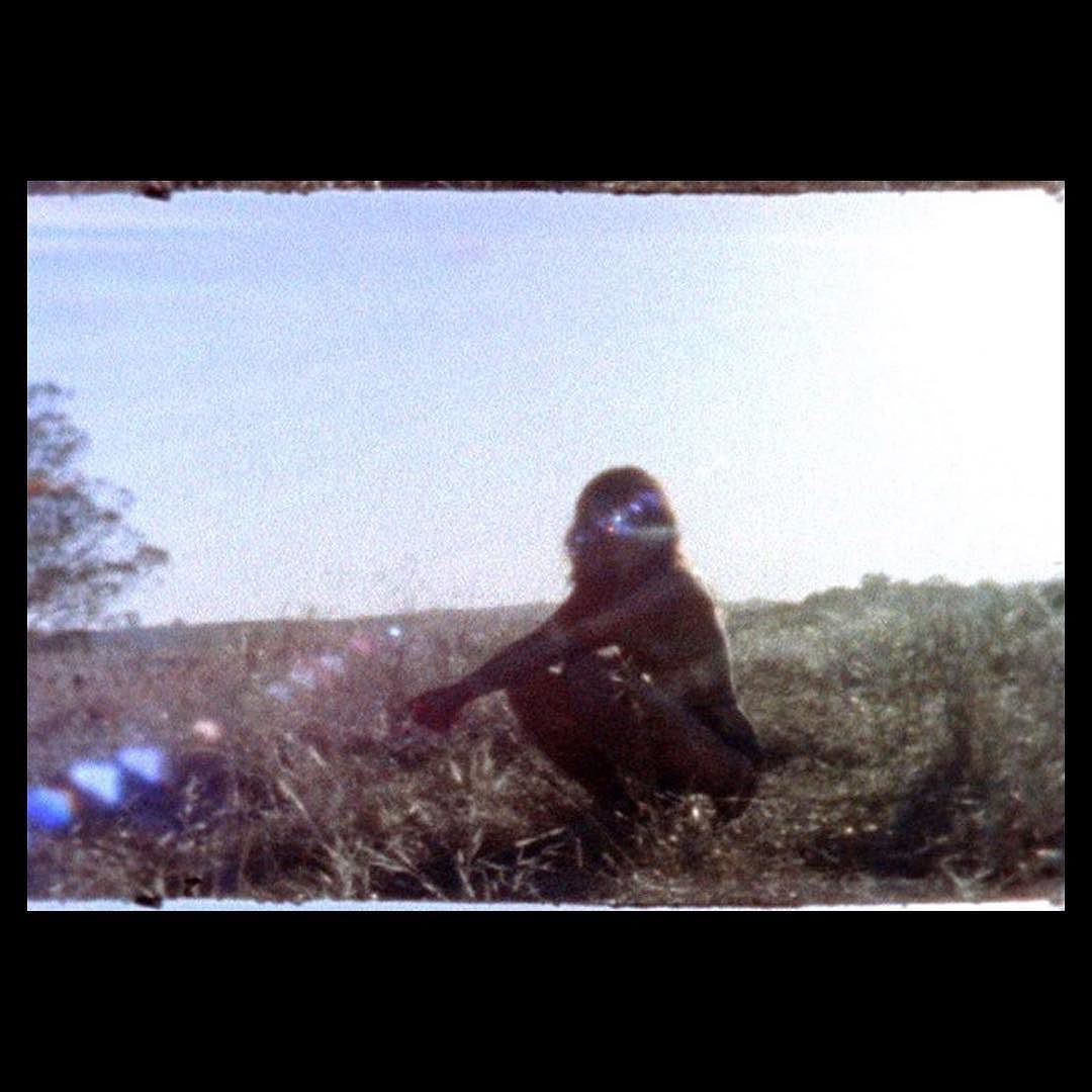 &lsquo;Cause I&rsquo;m as free as a bird now&hellip; 💫 by amplification