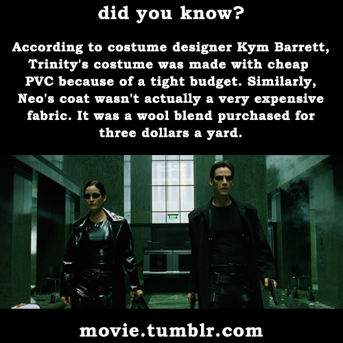 movie:  The Matrix (1999) facts | More movie facts 