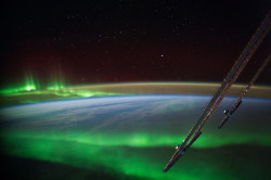 planetaryfolklore:  spaceexp: A beautiful clear shot of the Aurora Borealis near Australia, from the ISS Image credit: NASA