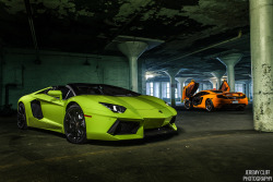 automotivated:  Lamborghini Aventador Roadster &amp; Mclaren MP4-12C (by jeremycliff)