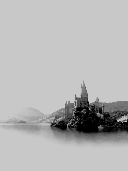 herowyn:a harry potter meme[2/5] places: Hogwarts School of Witchcraft and Wizardry“Now… to our new 