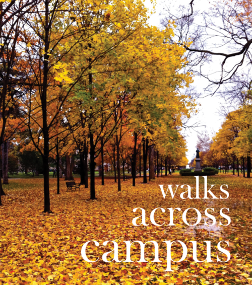 beautiful-noises: walks across campus chilly, brisk walks between academic buildings, past scholarly