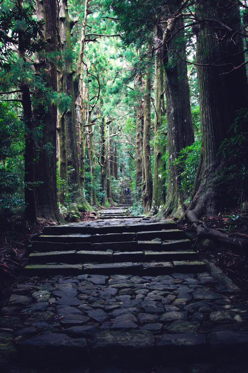 kuroinusphoto: 2014年10月24日 08．大門坂２ 和歌山県東牟婁郡那智勝浦町