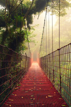 prop3nsity:  landscapelifescape:  Monteverde Cloud Forest reserve, Costa Rica On the other side by Mikael Kvist  me encante.