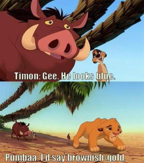 aadifferentkindofweird:  The Lion King started the dress controversy. 
