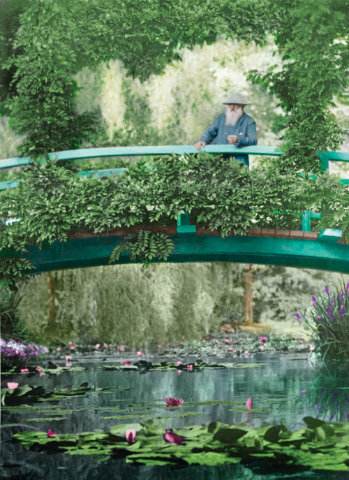 Porn photo arsvitaest:  Monet on the Japanese footbridge