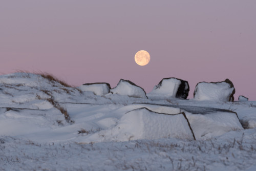 tokyoproxy:  Last full moon of the year, in Þingvellir by Ann Silvestre.