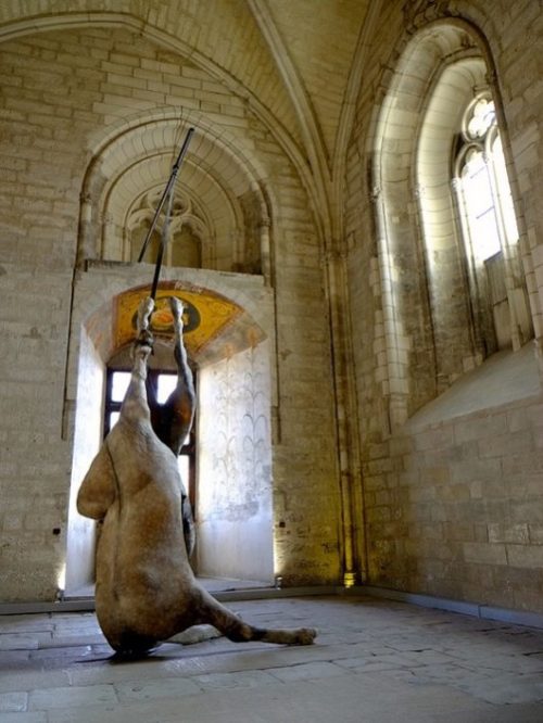 Work by Berlinde de Bruyckere in one of the chapels @ the Palais des Papes, Avignon.&gt; Ph