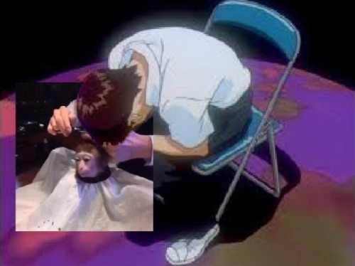 evangelion-shitposting: stop it