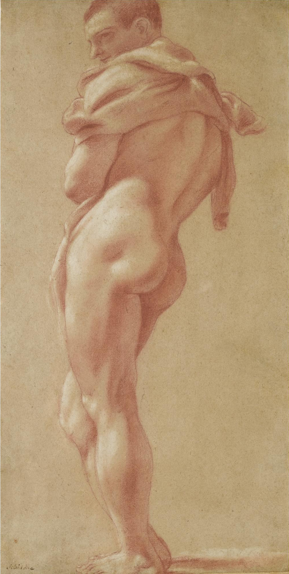   Pietro Faccini, Standing Male Nude, 17th century  