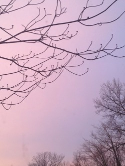 fawnsette:  the sky looks like cotton candy