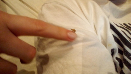 there’s an ugly ladybug on furbys hand