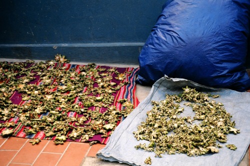Dried Herbs for Sale, Street Vendor, Tarabuco, Bolivia, 2006.I do not know what these were, and the 