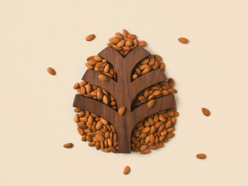 escapekit:FoodiestMexico-based design studio YuJo! Creatividad Aplicada ® has created a brand identi
