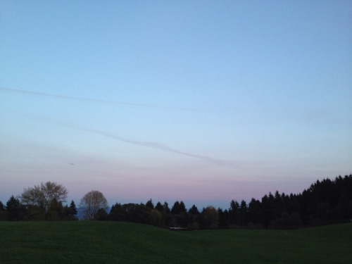 nypmh:  went to the dog park this afternoon and the sky was a mix of blue and lavender, it was gorge