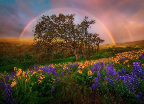 awkwardsituationist:  photos by marc adamus along the west coast of north america, from california and washington state up to british columbia and alaska.