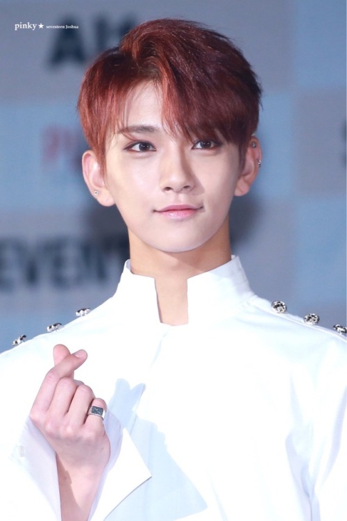 ohmyjisoo: he looks like an angel © pinky