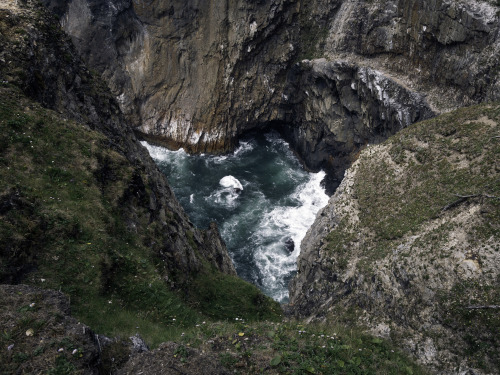 kovthephotographer: Oswald West State Park, Oregon Smuggler’s Cove Oregon Coast Trail Treasure