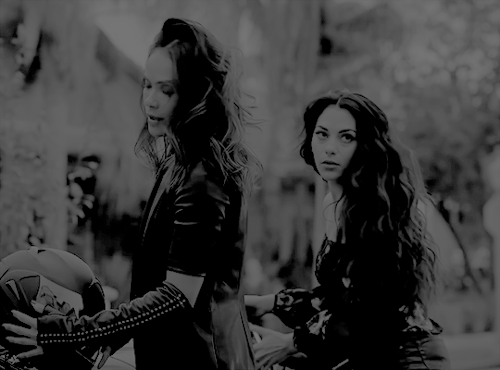 poisonpam:to quote my fellow bisexuals, god said adam and eve—