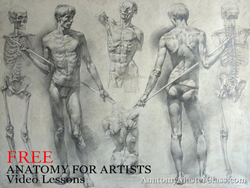 supersonicart: ANATOMY MASTER CLASS: Free Video Lessons.Anatomy Master Class is offering Supersonic 